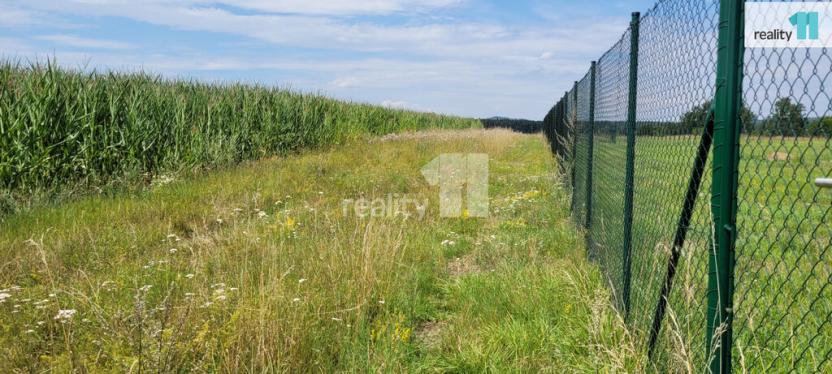 Prodej pozemku pro bydlení, Čížová - Topělec, 4210 m2