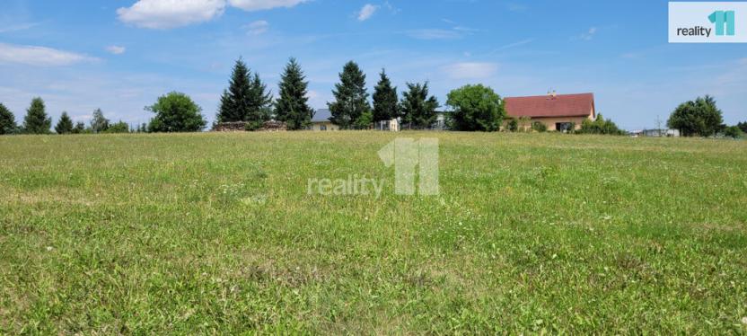 Prodej pozemku pro bydlení, Čížová - Topělec, 4210 m2