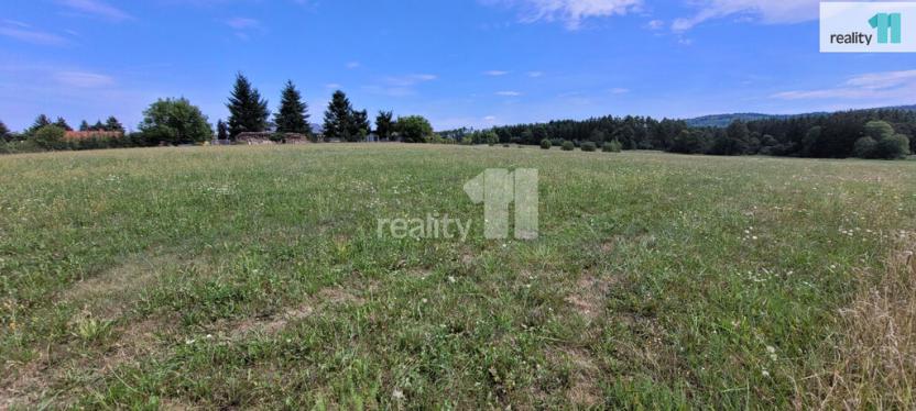 Prodej pozemku pro bydlení, Čížová - Topělec, 4210 m2