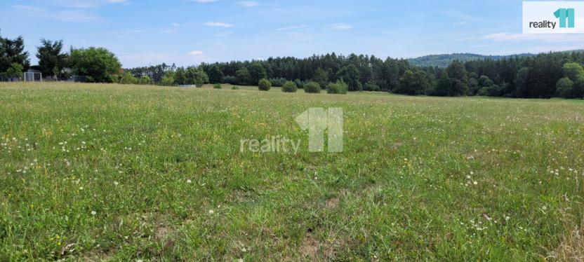 Prodej pozemku pro bydlení, Čížová - Topělec, 4210 m2