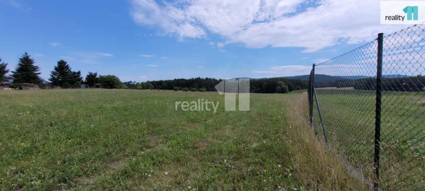 Prodej pozemku pro bydlení, Čížová - Topělec, 4210 m2