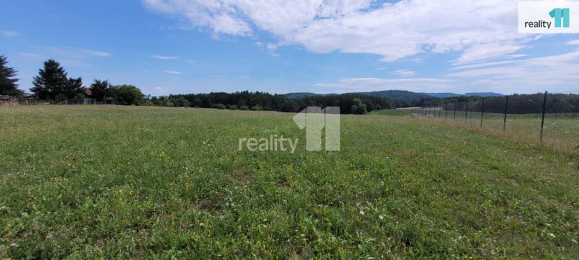 Prodej pozemku pro bydlení, Čížová - Topělec, 4210 m2