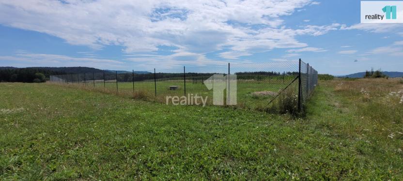 Prodej pozemku pro bydlení, Čížová - Topělec, 4210 m2