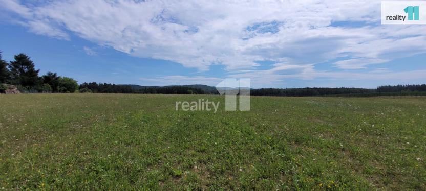 Prodej pozemku pro bydlení, Čížová - Topělec, 4210 m2