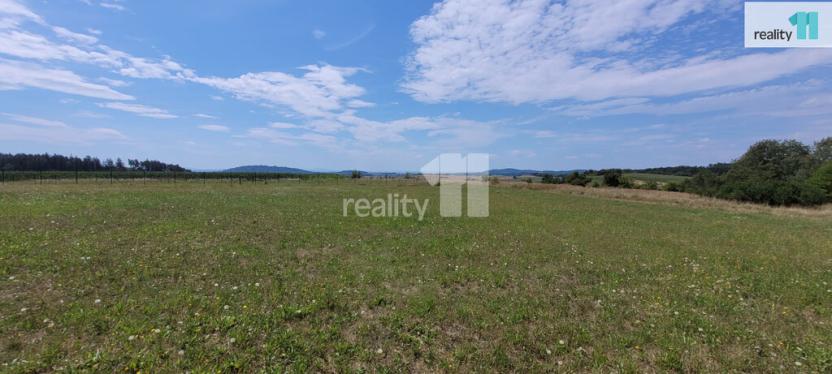 Prodej pozemku pro bydlení, Čížová - Topělec, 4210 m2