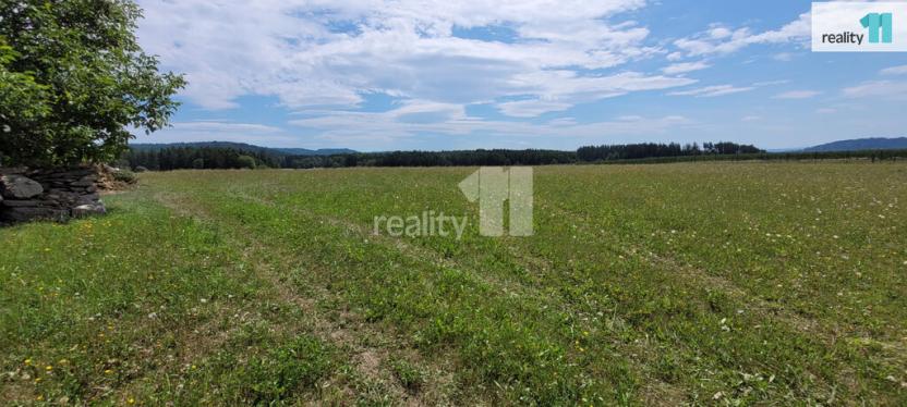 Prodej pozemku pro bydlení, Čížová - Topělec, 4210 m2