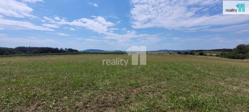 Prodej pozemku pro bydlení, Čížová - Topělec, 4210 m2