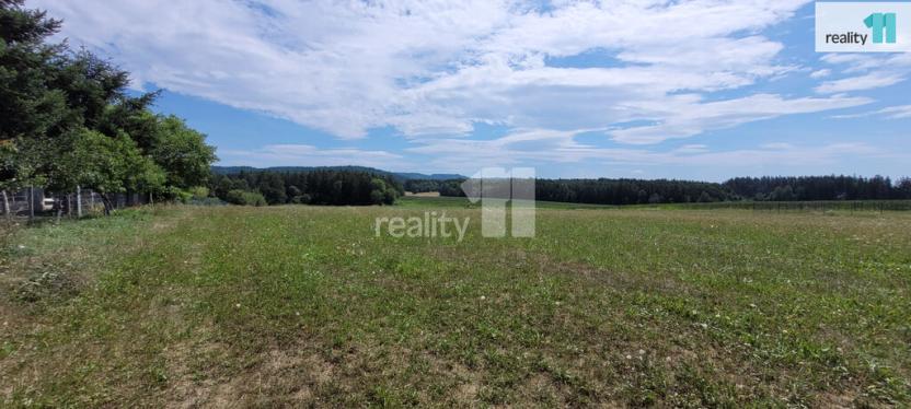 Prodej pozemku pro bydlení, Čížová - Topělec, 4210 m2