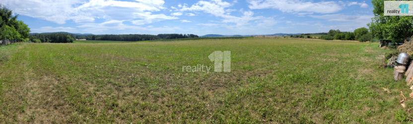 Prodej pozemku pro bydlení, Čížová - Topělec, 4210 m2