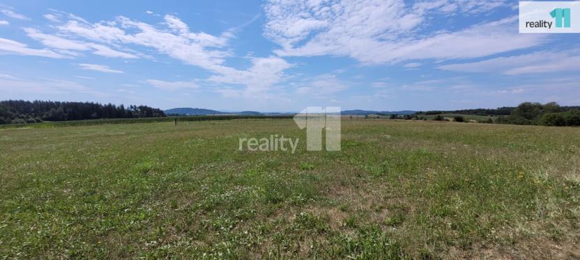 Prodej pozemku pro bydlení, Čížová - Topělec, 4210 m2