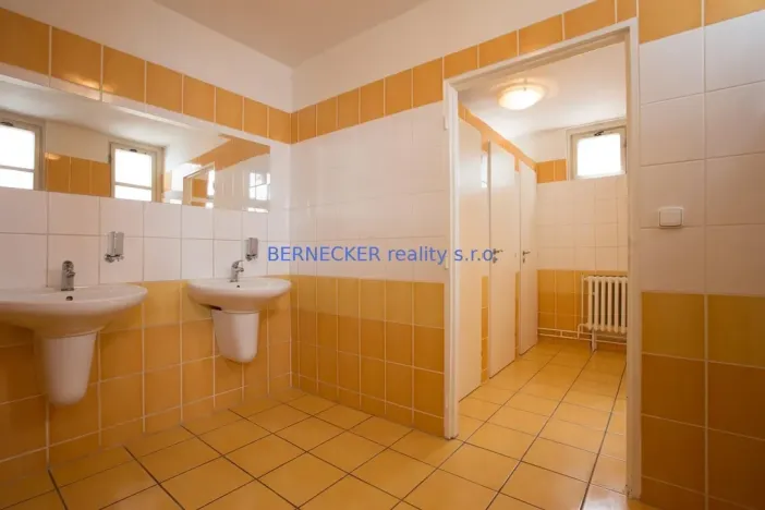 Pronájem kanceláře, Hradec Králové, Bieblova, 35 m2