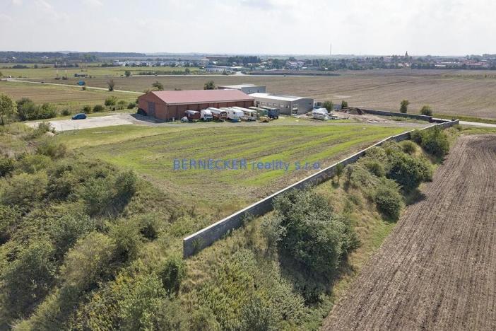 Prodej komerčního pozemku, Bašť, 4869 m2