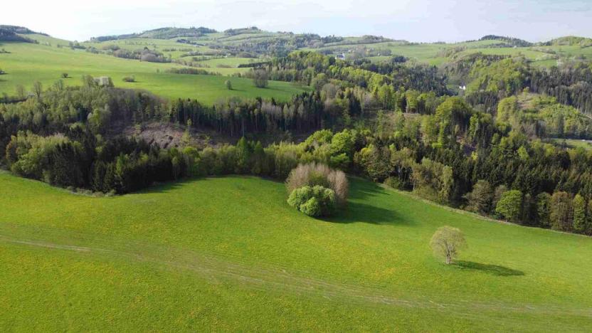 Prodej zemědělské půdy, Hanušovice - Hynčice nad Moravou, 15879 m2