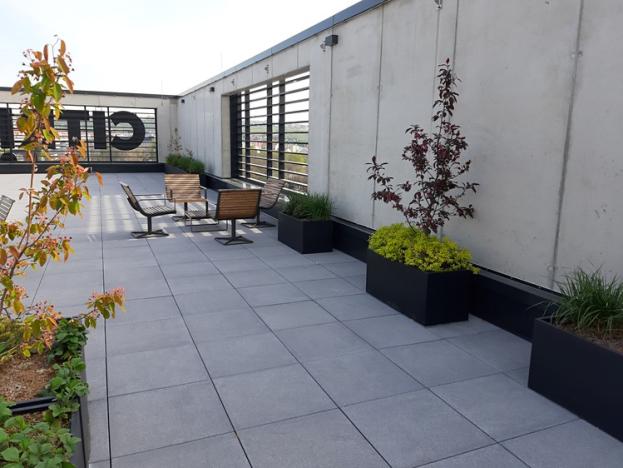 Pronájem kanceláře, Praha - Karlín, Sokolovská, 560 m2