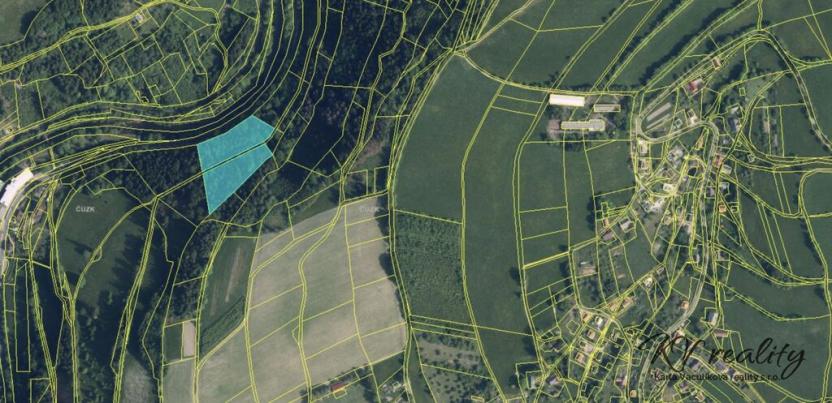 Prodej lesa, Poniklá, 11613 m2