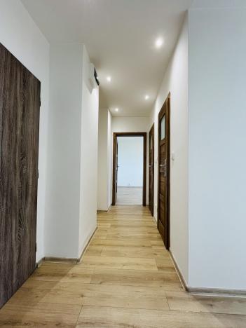 Pronájem bytu 2+1, Ostrava - Hrabůvka, Josefa Kotase, 54 m2