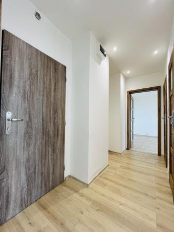 Pronájem bytu 2+1, Ostrava - Hrabůvka, Josefa Kotase, 54 m2