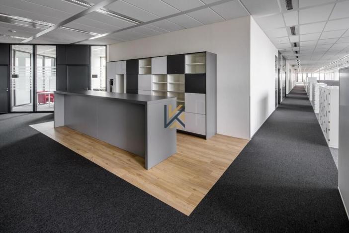 Pronájem kanceláře, Praha - Nusle, Pikrtova, 500 m2