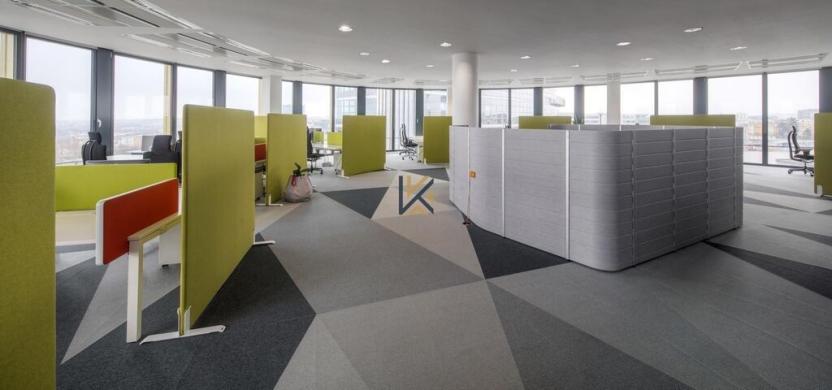 Pronájem kanceláře, Praha - Nusle, Pikrtova, 929 m2