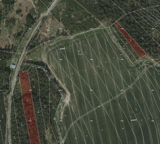 Prodej lesa, Borovany - Trocnov, 12320 m2