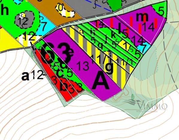 Prodej lesa, Borovany - Trocnov, 12320 m2