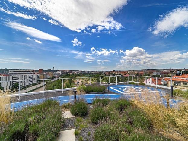 Pronájem kanceláře, Praha - Holešovice, Plynární, 478 m2