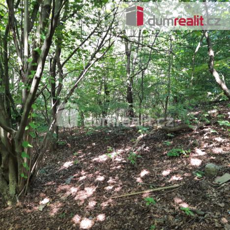 Prodej rodinného domu, Liberec - Liberec XXX-Vratislavice nad Nisou, Pod Skalkou, 115 m2