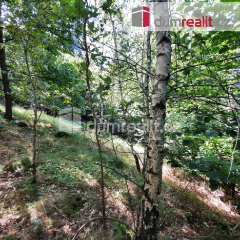 Prodej rodinného domu, Liberec - Liberec XXX-Vratislavice nad Nisou, Pod Skalkou, 115 m2