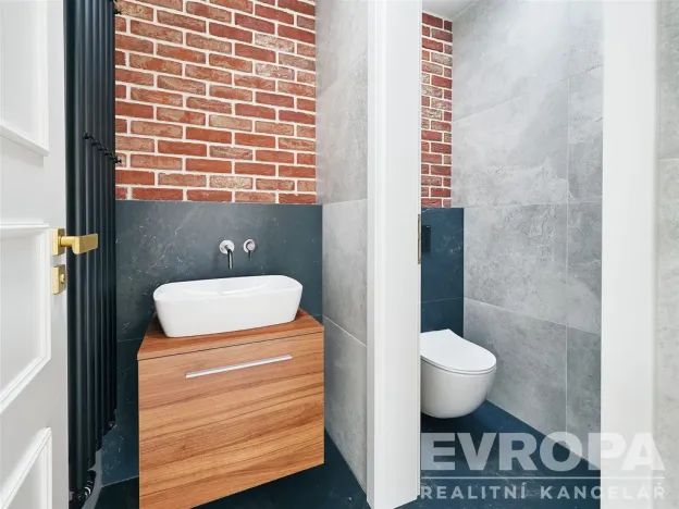 Pronájem bytu 4+kk, Praha - Vinohrady, Šafaříkova, 120 m2