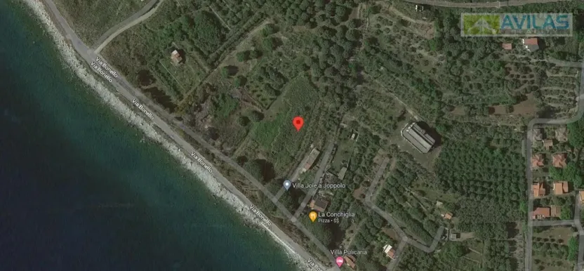 Prodej pozemku, 15000 m2
