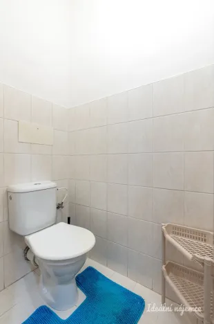 Pronájem bytu 2+1, Praha - Břevnov, Bělohorská, 53 m2