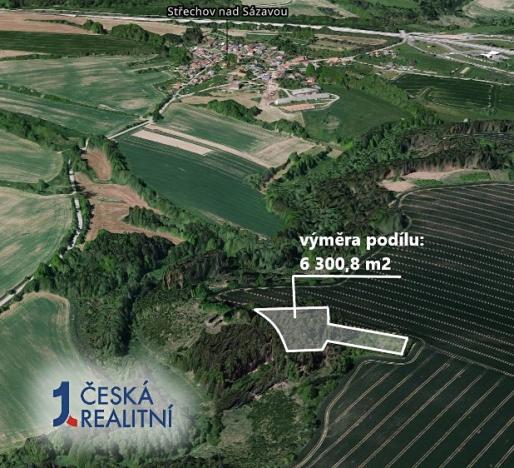 Prodej podílu lesa, Trhový Štěpánov, 6301 m2