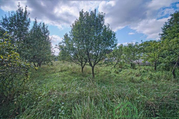 Prodej pozemku pro bydlení, Mikulovice, Na Bukovci, 1125 m2