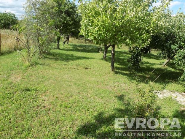 Prodej zahrady, Bělušice, 4787 m2