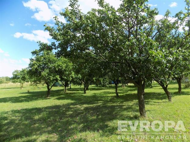 Prodej zahrady, Bělušice, 4787 m2