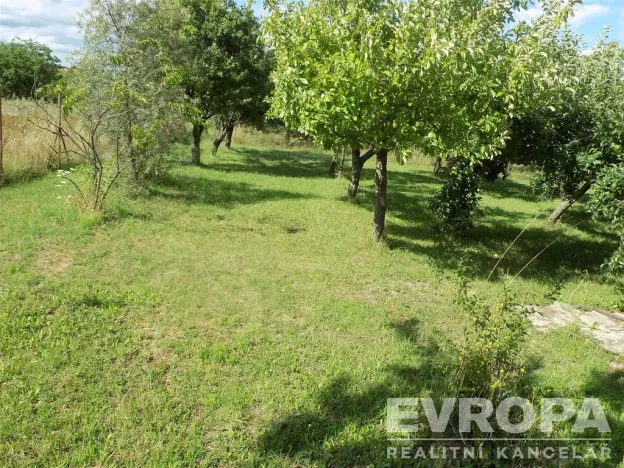 Prodej zahrady, Bělušice, 4787 m2