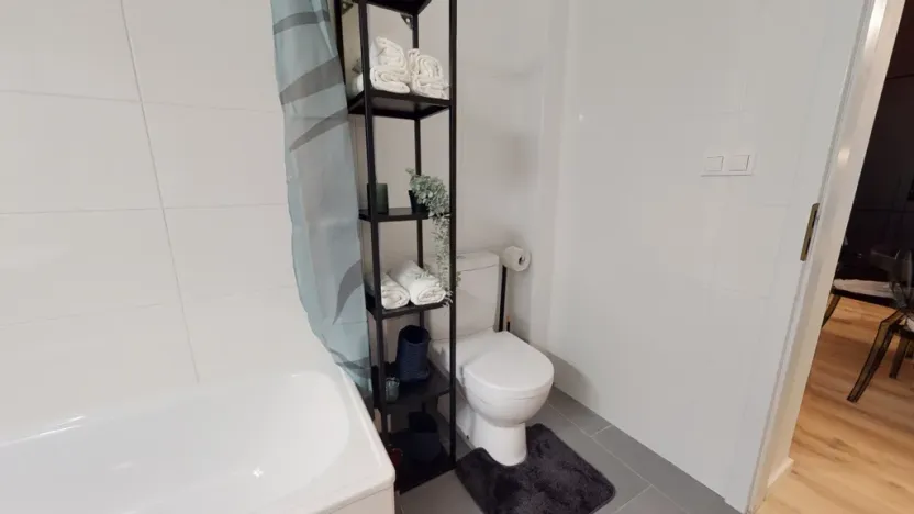 Pronájem bytu 2+1, Praha - Vinohrady, Lucemburská, 60 m2