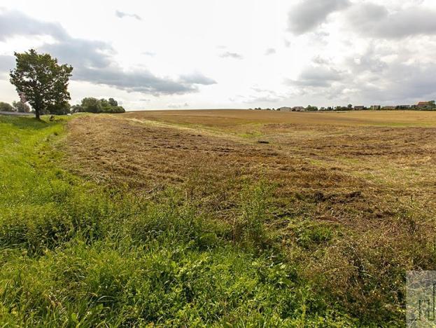 Prodej pozemku pro bydlení, Čížkovice, Růžová, 2480 m2