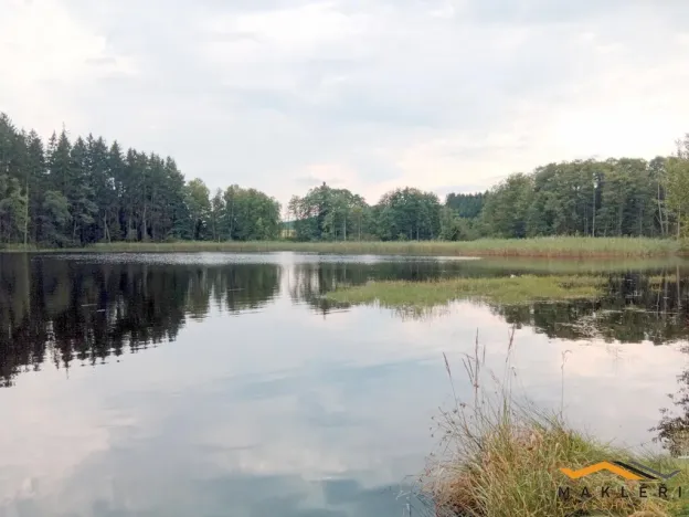 Prodej zemědělské usedlosti, Horní Radouň - Starý Bozděchov, 2600 m2