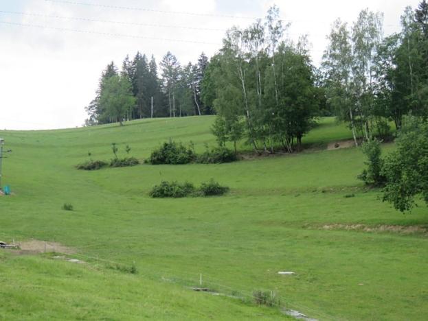 Dražba trvalého travního porostu, Plavy, 1886 m2