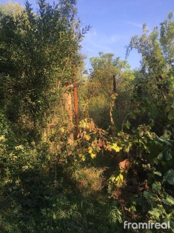 Prodej zahrady, Brno - Brněnské Ivanovice, 1358 m2