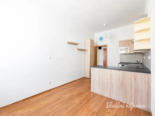 Pronájem bytu 2+kk, Praha - Vinohrady, Slezská, 48 m2