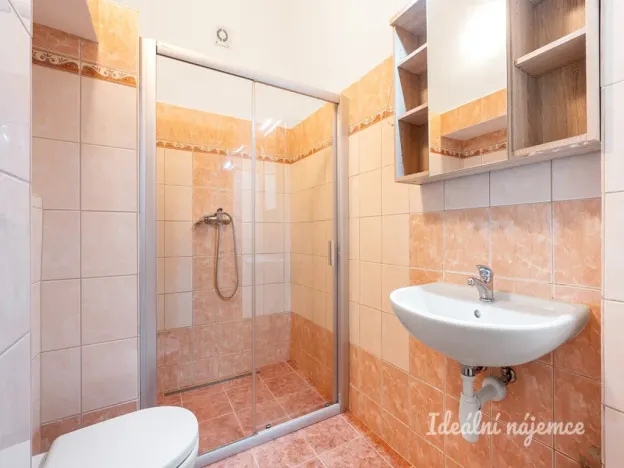 Pronájem bytu 2+kk, Praha - Vinohrady, Slezská, 48 m2