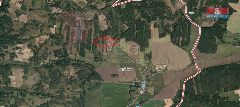 Prodej lesa, Jetětice, 13685 m2