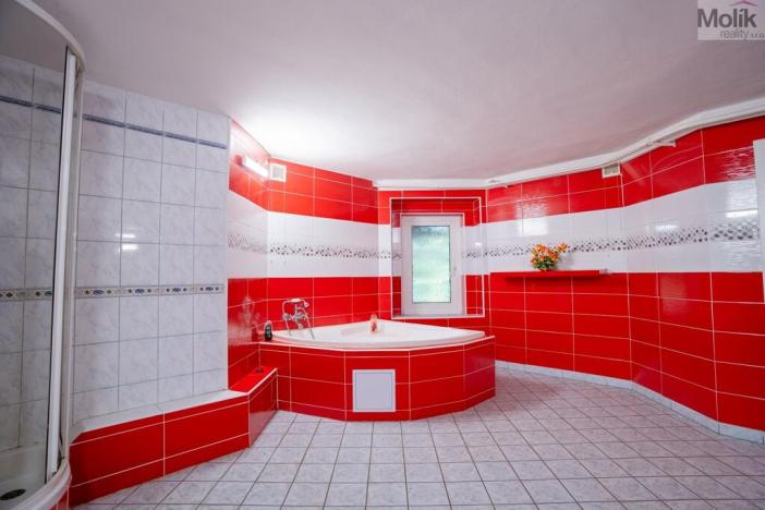 Prodej rodinného domu, Litvínov - Janov, Janovská, 288 m2