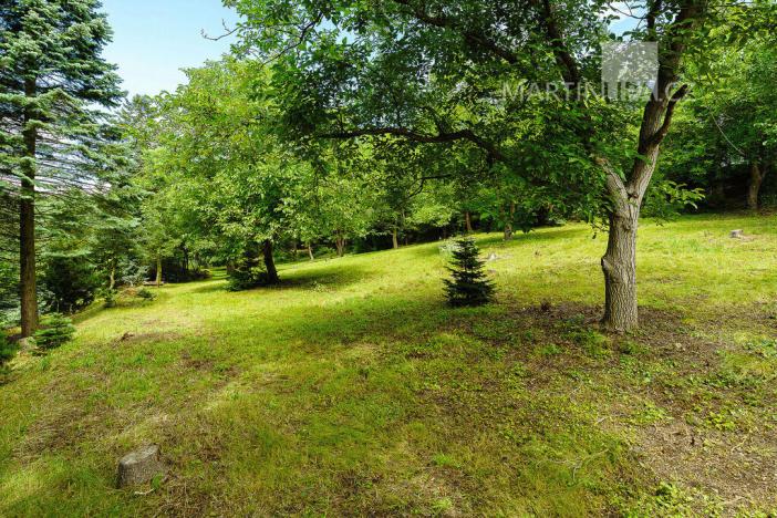 Prodej pozemku pro bydlení, Roztoky, V Úvoze, 3034 m2