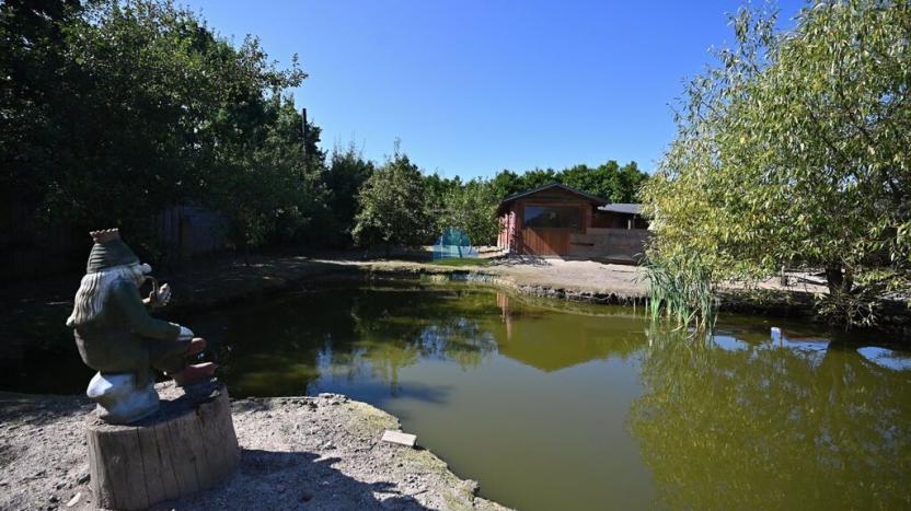 Prodej pozemku pro bydlení, Františkovy Lázně - Krapice, 1217 m2