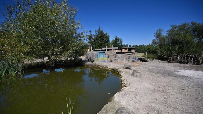 Prodej pozemku pro bydlení, Františkovy Lázně - Krapice, 1217 m2