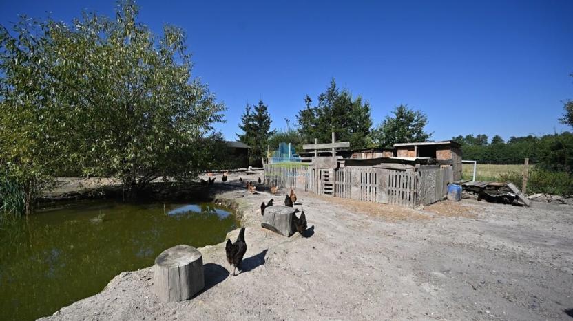 Prodej pozemku pro bydlení, Františkovy Lázně - Krapice, 1217 m2