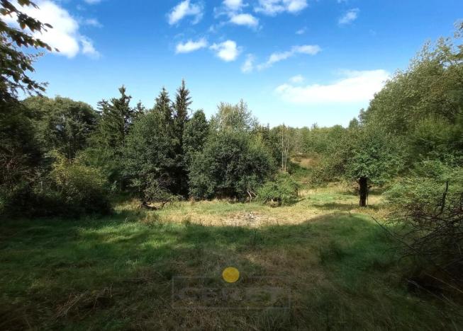 Prodej pozemku pro bydlení, Dubá - Korce, 8483 m2